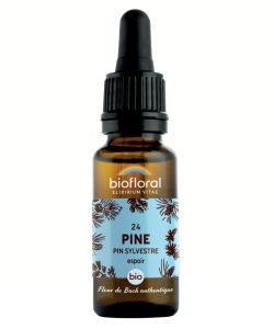 Scots Pine  (No. 24) BIO, 20 ml